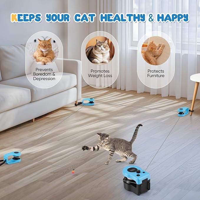 Interactive Indoor Pet Toy