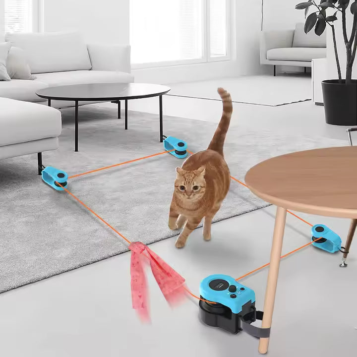 Interactive Indoor Pet Toy
