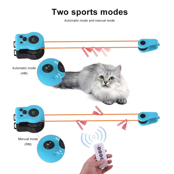 Interactive Indoor Pet Toy