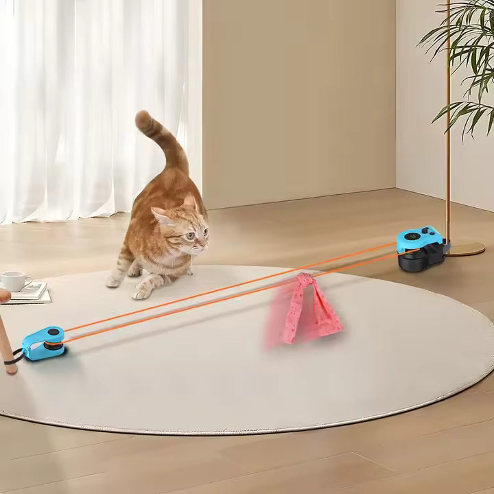 Interactive Indoor Pet Toy
