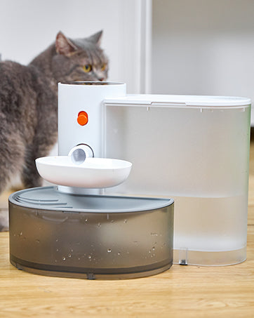 Automatic Pet Water Dispenser