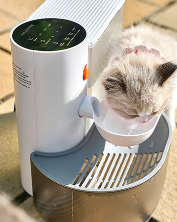 Automatic Pet Water Dispenser
