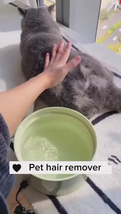 3-in-1 Steam Pet Brush
