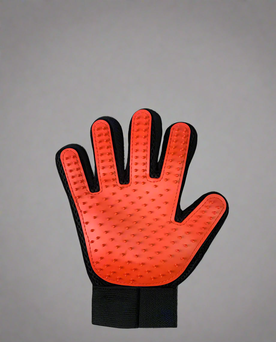 Pet Hair Removal Gloves with Silicone for Cleaning