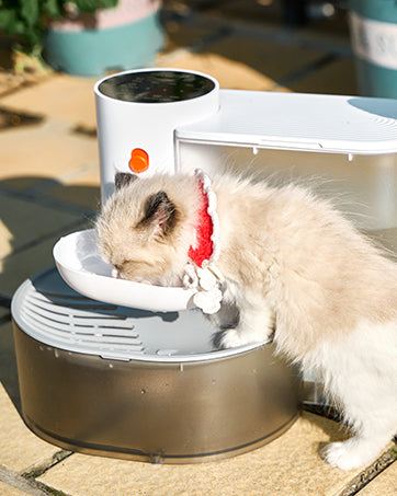 Automatic Pet Water Dispenser